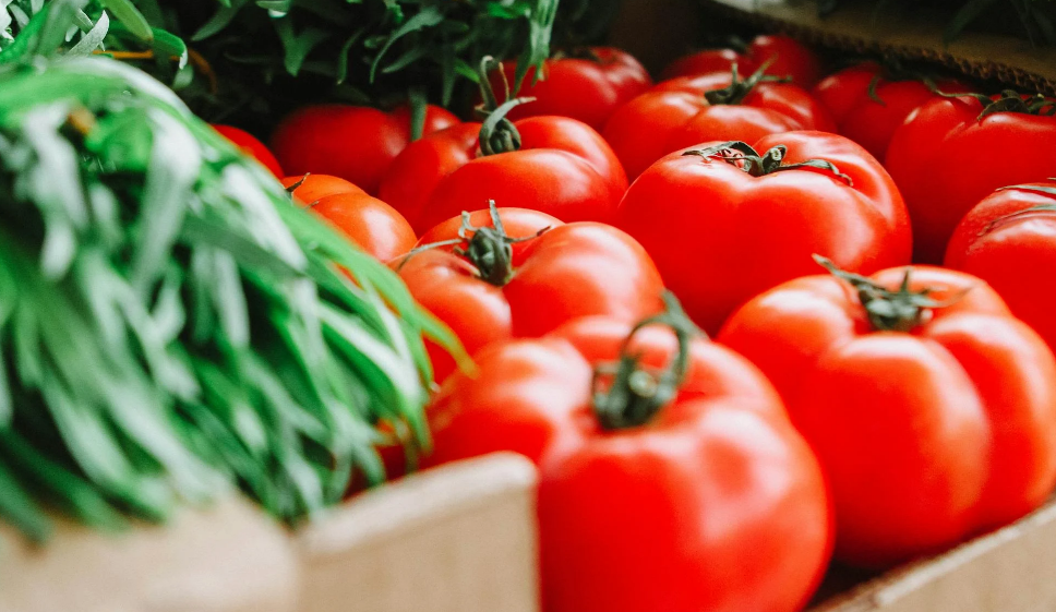 코스트코휴무일