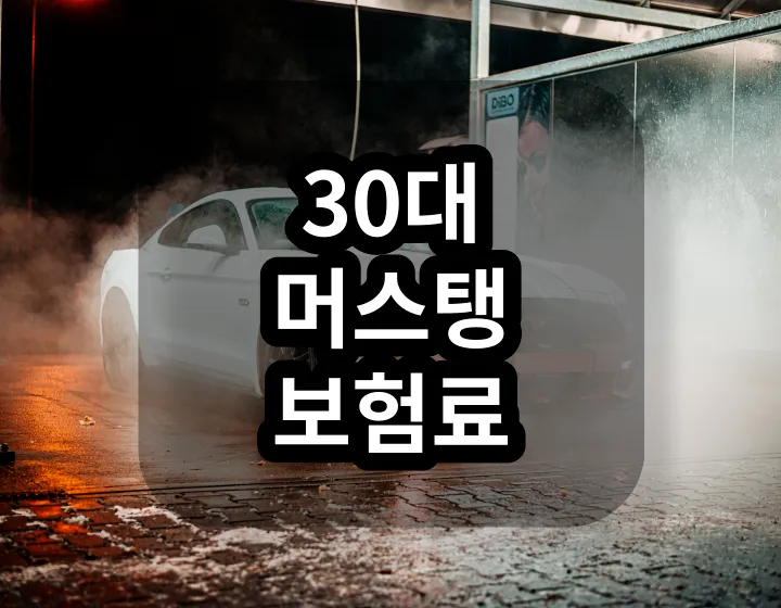 30대 머스탱 보험료