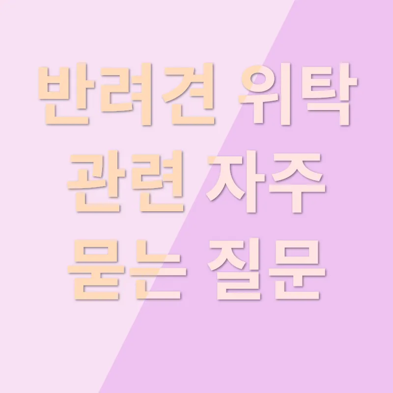 반려견 위탁_4