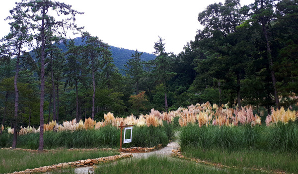 해남 포레스트수목원(4rest), 국내 최대 수국정원 완전 정복!
