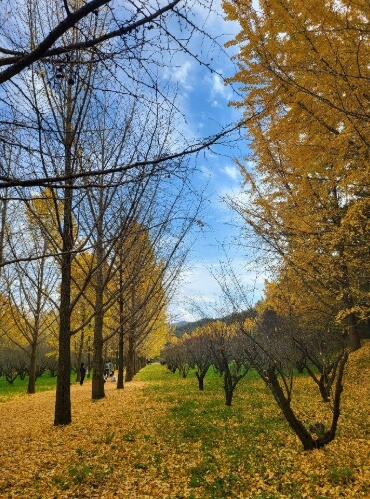 나주 가볼만한곳 베스트 10