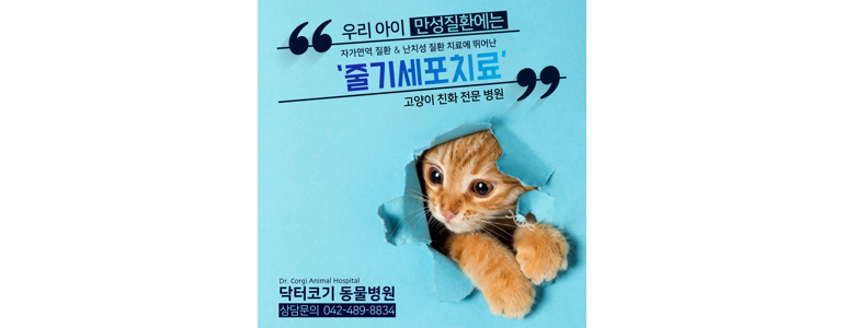 대전 서구 동물병원