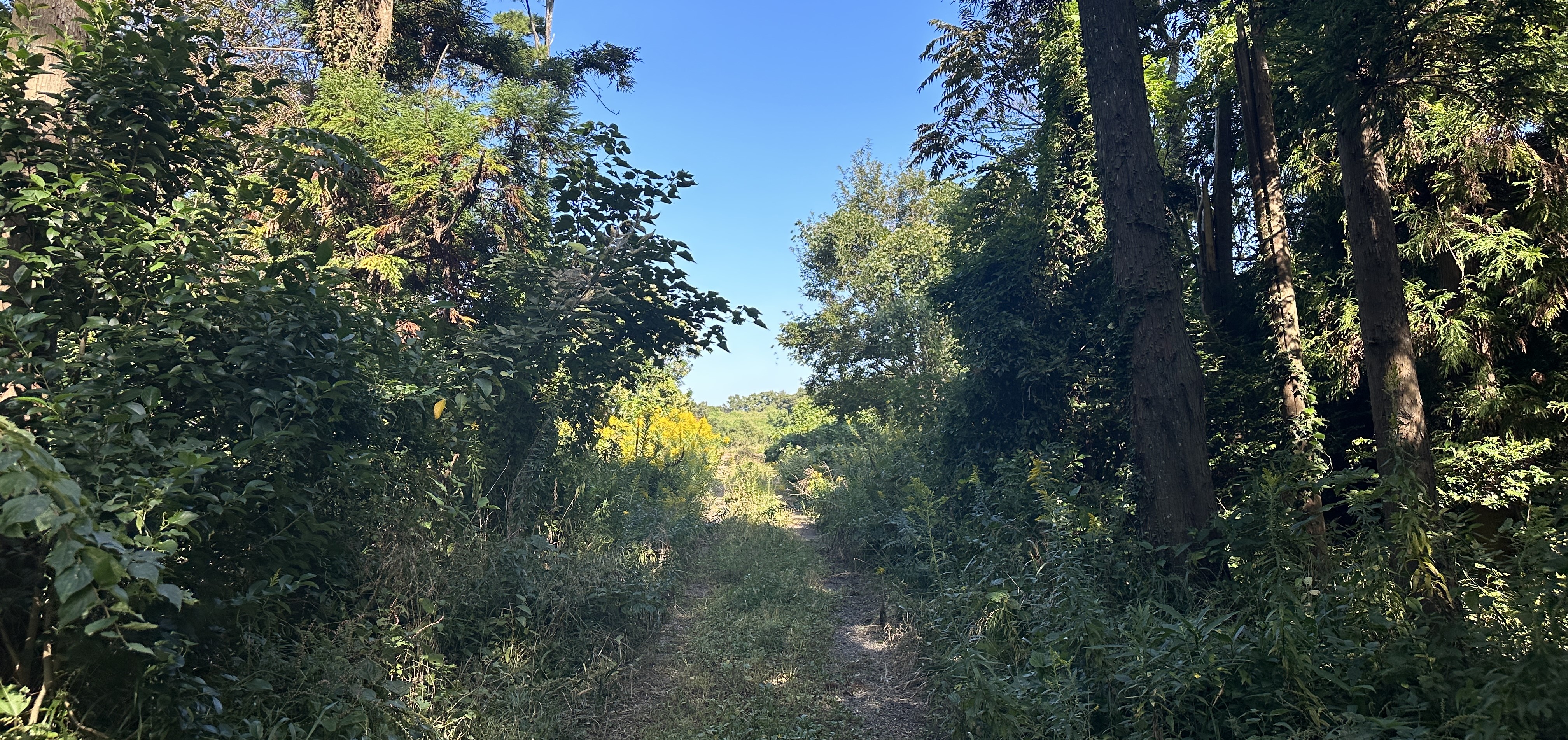오드싱 오름 산책로