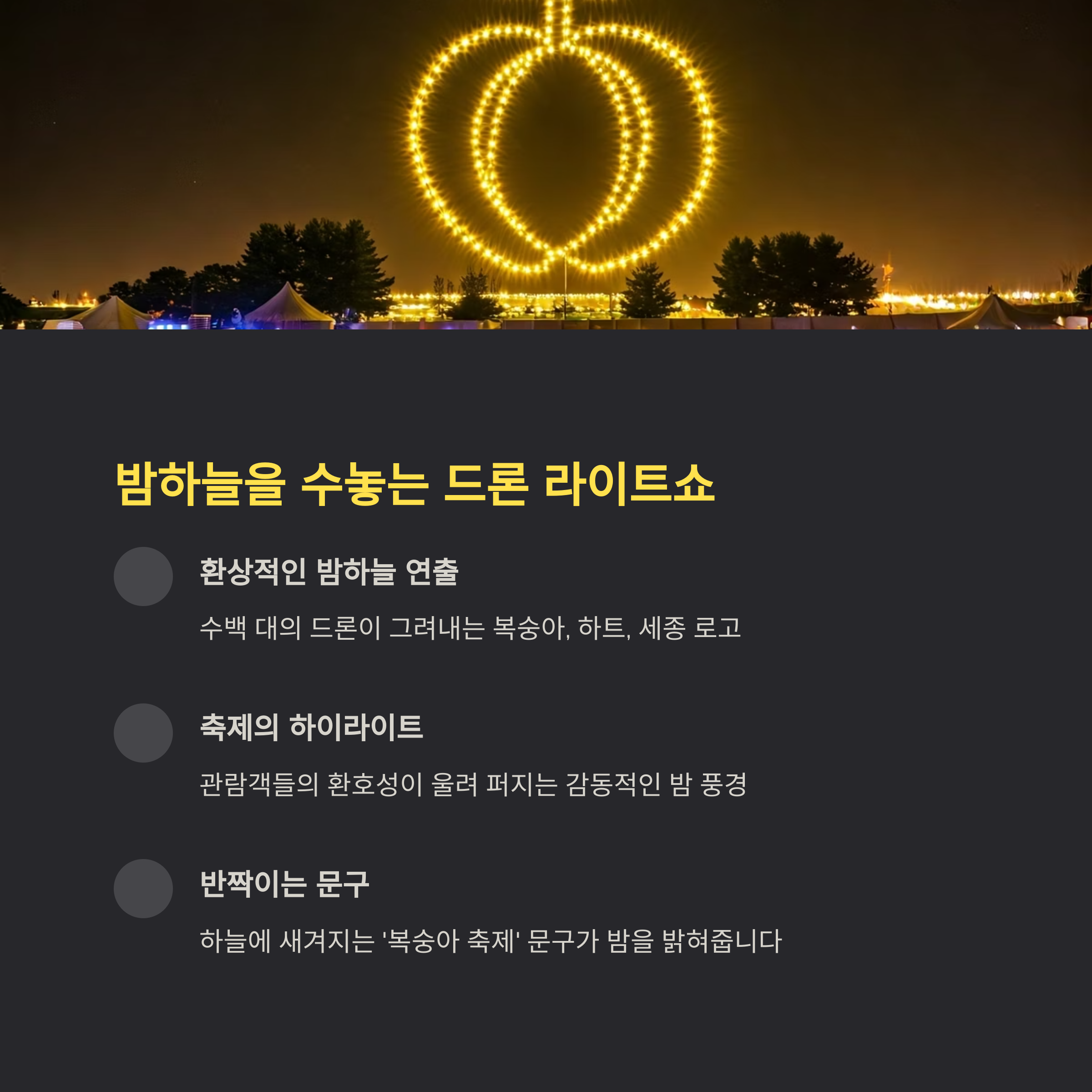 밤하늘을 수놓는 드론 라이트쇼