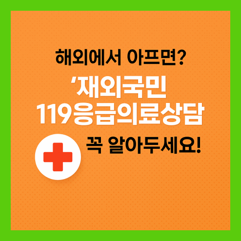 재외국민 119 응급의료상담, 해외여행시 시스템 이용 방법