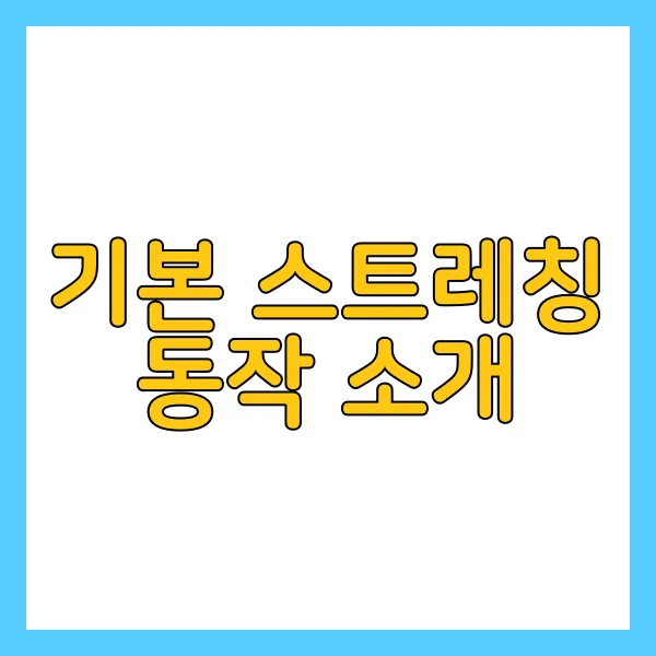 스트레칭 운동