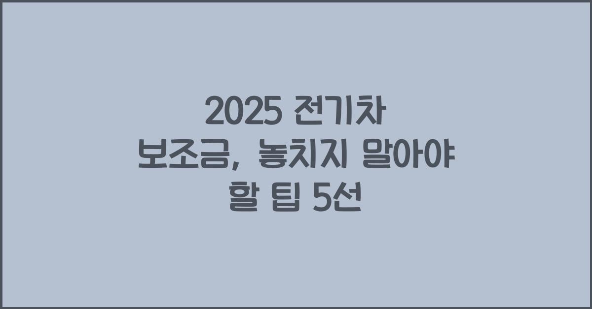 2025 전기차 보조금