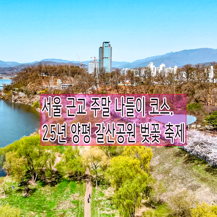 25년 양평 갈산 공원 벚꽃 축제 관련 이미지
(출처:https://nuribomfestival.modoo.at/?link=ymyaui81)