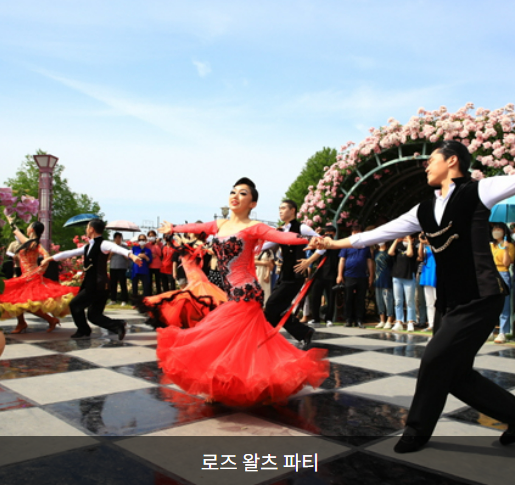 곡성 장미축제 행사일정 프로그램