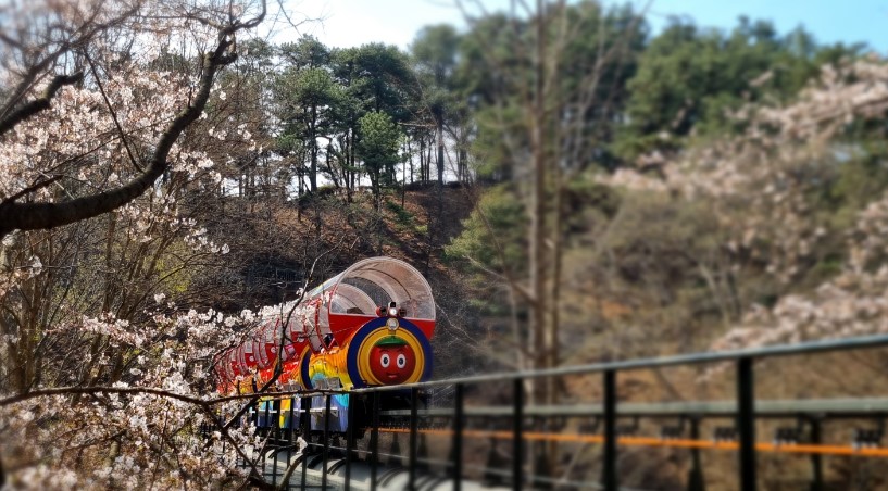 예산 당일치기 돌아보기 좋은 코스 소개