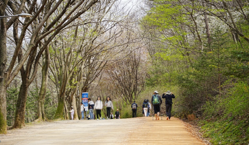 계족산 황토길