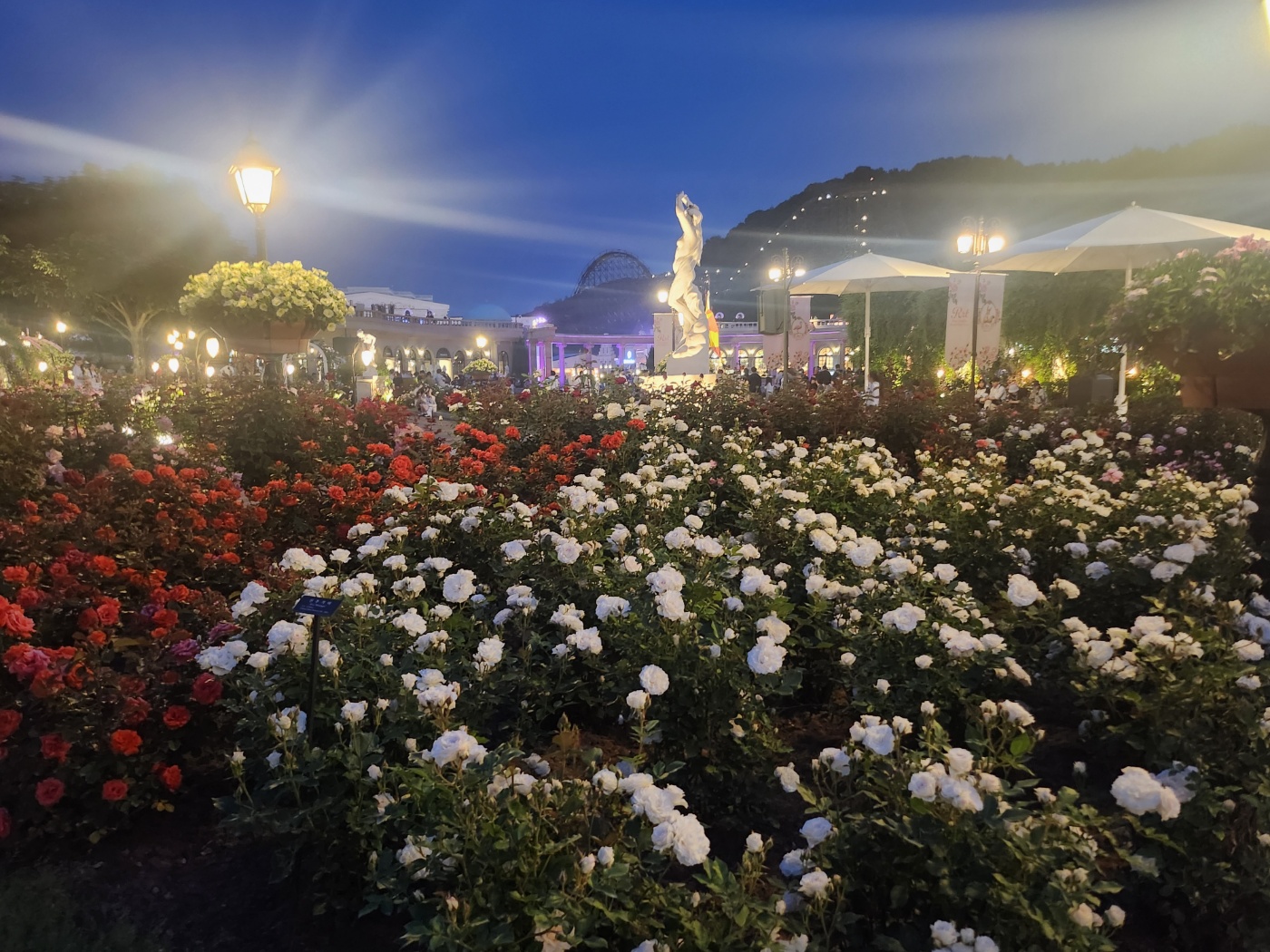 에버랜드 장미축제 야간 방문 후기: 야간 퍼레이드, 불꽃축제 시간, 장소, 1열자리 꿀팁 정리