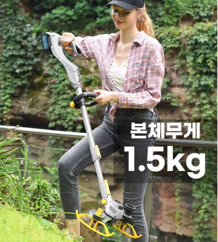벌초 대행