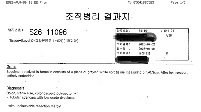 조직병리 결과지