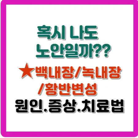 혹시-나도-노안일까-백내장-녹내장-황반변성-원인-증상-치료법