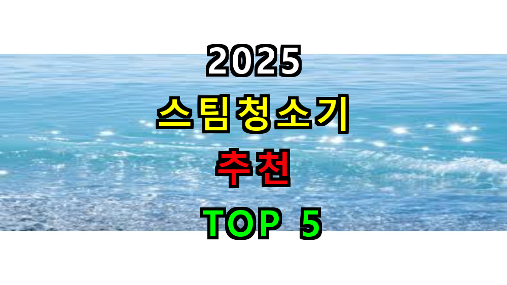 2025 스팀청소기 추천 TOP 5