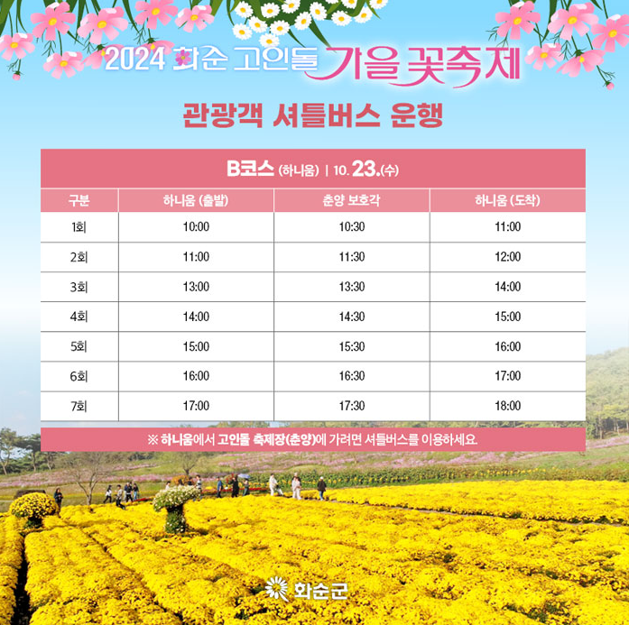 화순 고인돌 가을꽃축제