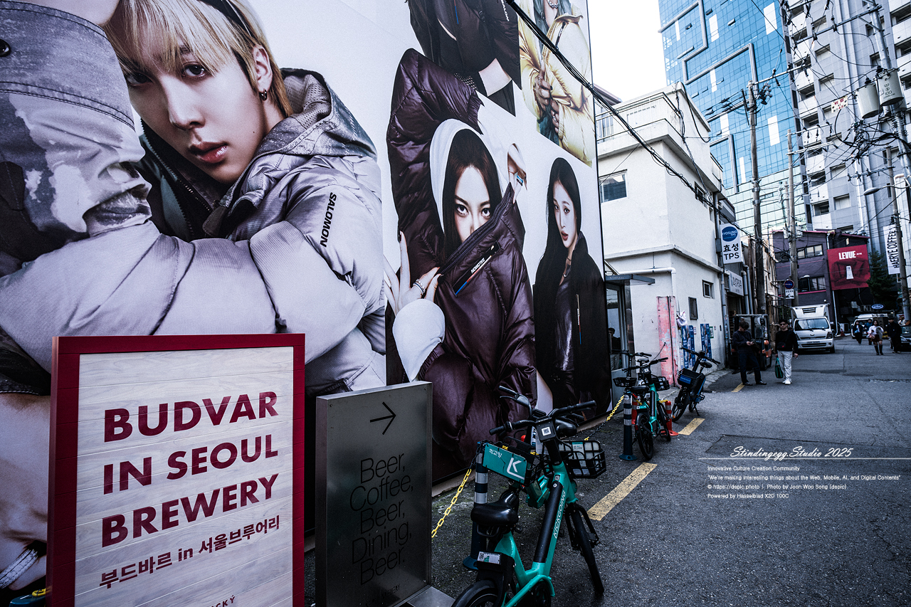 #서울 #성수동 #거리 #카페