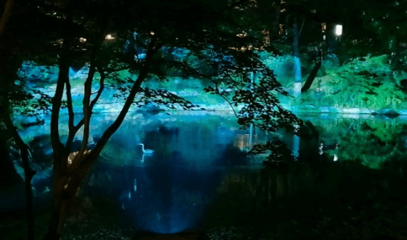 빛과 궁이 만나는 예술의 밤, 창경궁 물빛연화