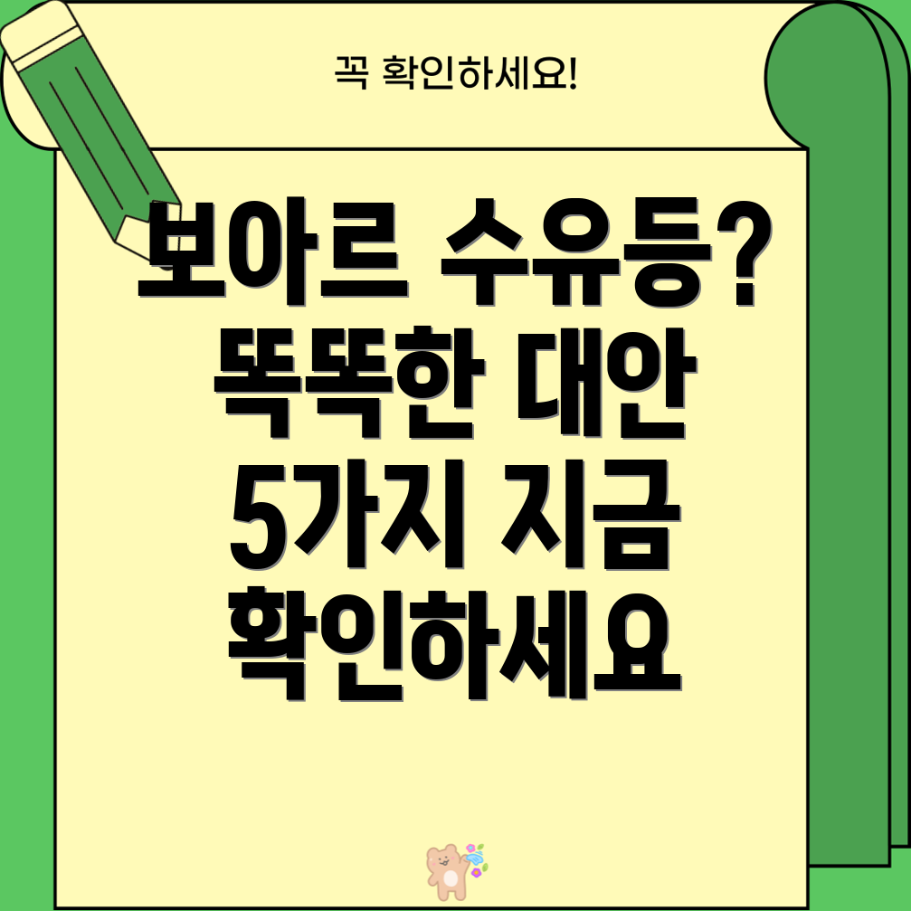 보아르수유등대안5가지똑똑한선택