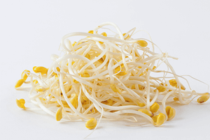 유방암에 좋은 음식13