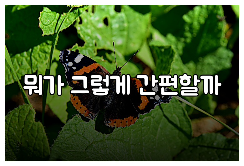 뭐가 그렇게 간편할까