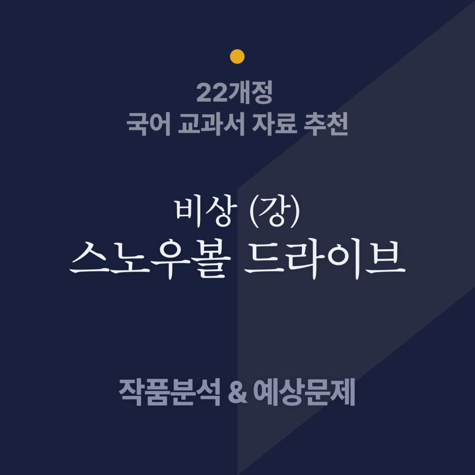 스노우볼드라이브_전문_자료_분석
