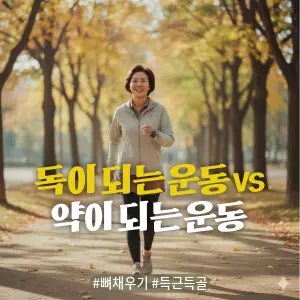 * 이미지 프롬프트: 밝은 가을 햇살이 비치는 공원 산책로에서, **50대 후반의 건강하고 활기찬 한국인 여성(이목구비가 뚜렷하고 깨끗한 이미지의 얼굴)**이 편안한 운동복 차림으로 경쾌하게 걷고 있다. 그녀의 표정은 운동을 통해 건강을 관리하는 자신감과 즐거움으로 가득 차 있다. 전체적으로 따뜻하고 부드러운 색감. 필름 카메라로 촬영한 듯한 자연스러운 빛 번짐과 미세한 필름 그레인 효과를 더해 아날로그 감성을 연출한 극사실주의 사진 스타일.
* 썸네일 텍스트(제목): 독이 되는 운동 vs 약이 되는 운동
* 해시태그: #뼈채우기 #득근득골