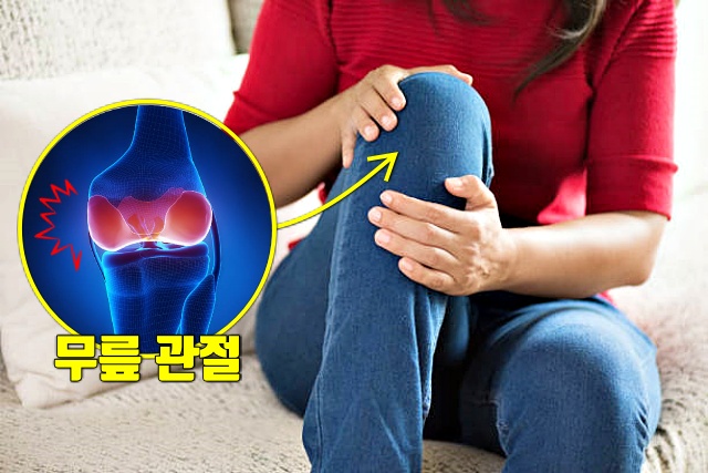 무릎이 시린 이유, 무릎통증에 좋은 운동 앞벅지 운동법, 무릎 아플때 하는 운동, 건강 팁줌 매일꿀정보