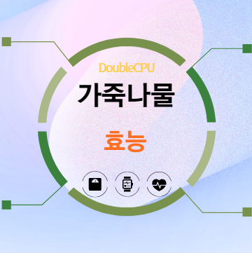 가죽나물 효능 탐구