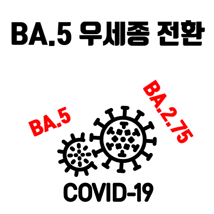 BA.5 우세종 전환