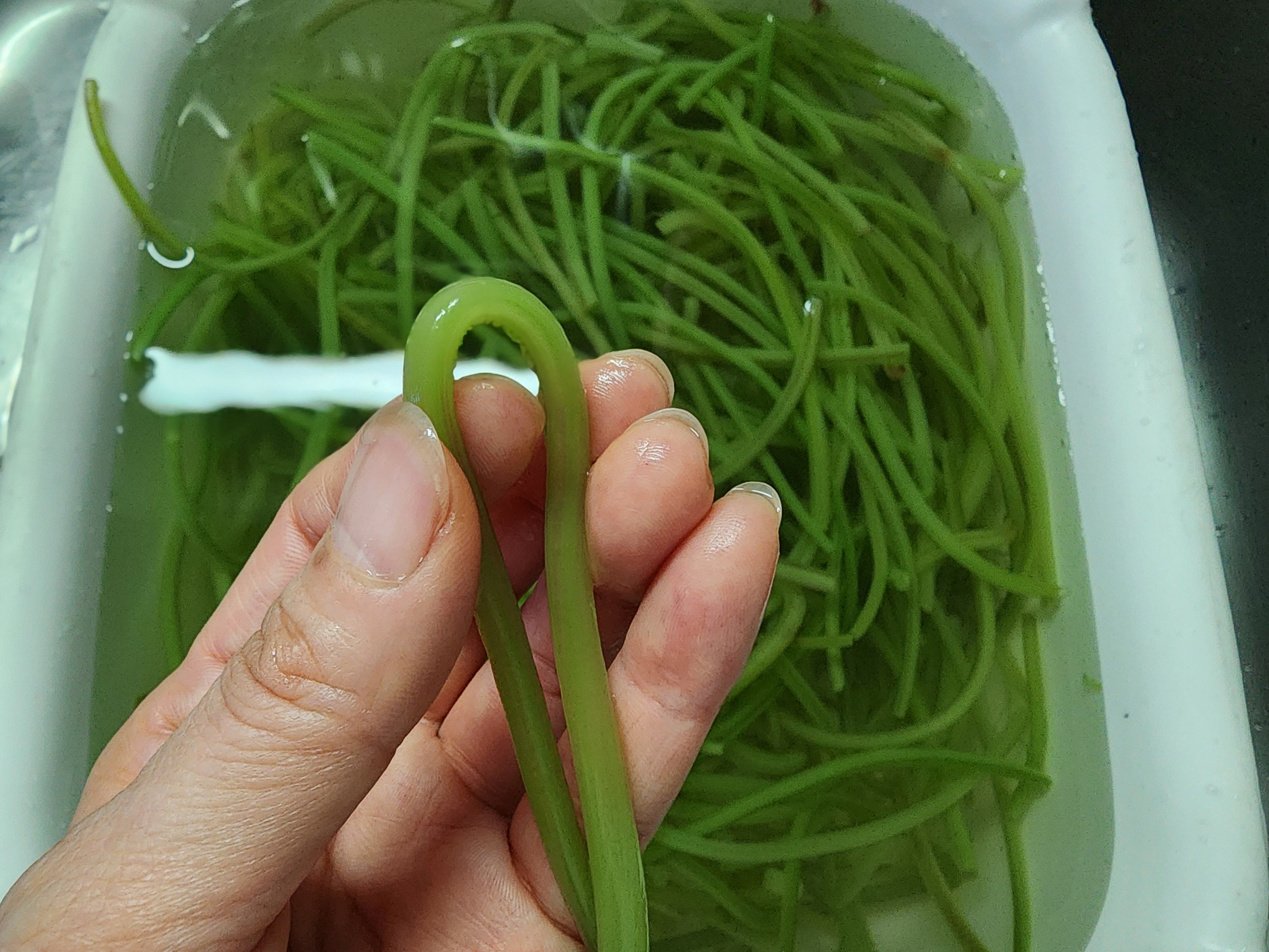 고구마순 볶음, 부드럽게 볶는법 고구마순 손질법