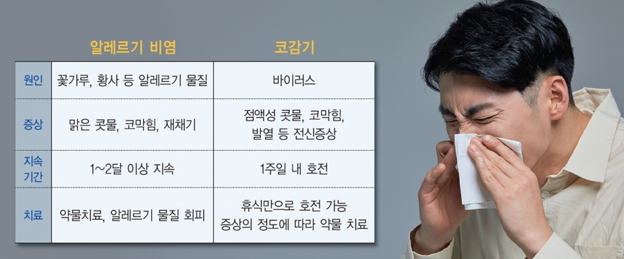 알레르기 비염과 코감기 증상 비교