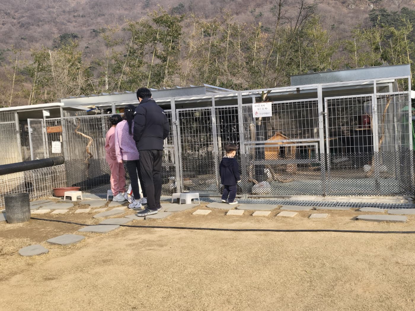 PINE 40 토끼우리