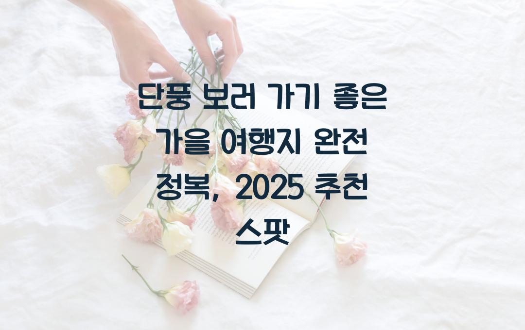 단풍 보러 가기 좋은 가을 여행지 완전 정복