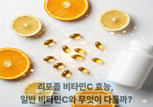 리포좀 비타민C 효능, 일반 비타민C와 무엇이 다를까?