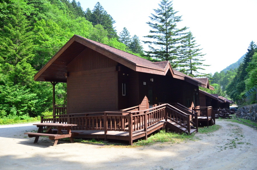 강원도 홍천 은행나무숲 방문 후기(10.23.): 단풍 확인 팁, 먹거리, 숙박