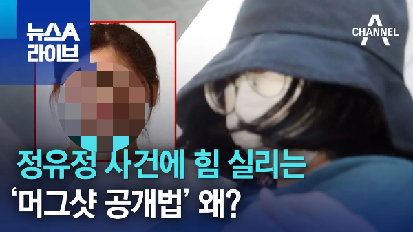 특정 중대 범죄 피의자 신상공개 머그샷 공개법