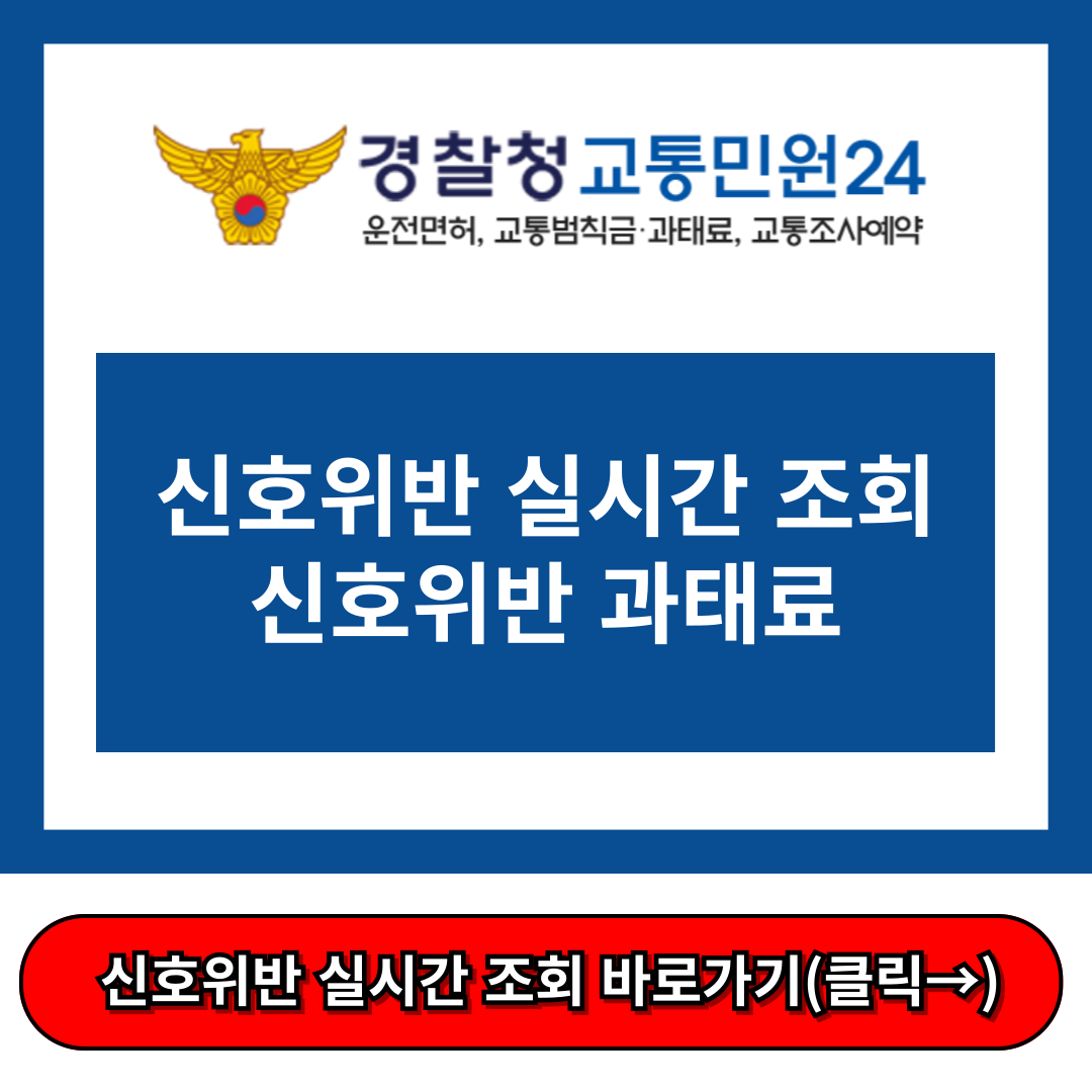 신호위반 실시간 조회 신호위반 과태료