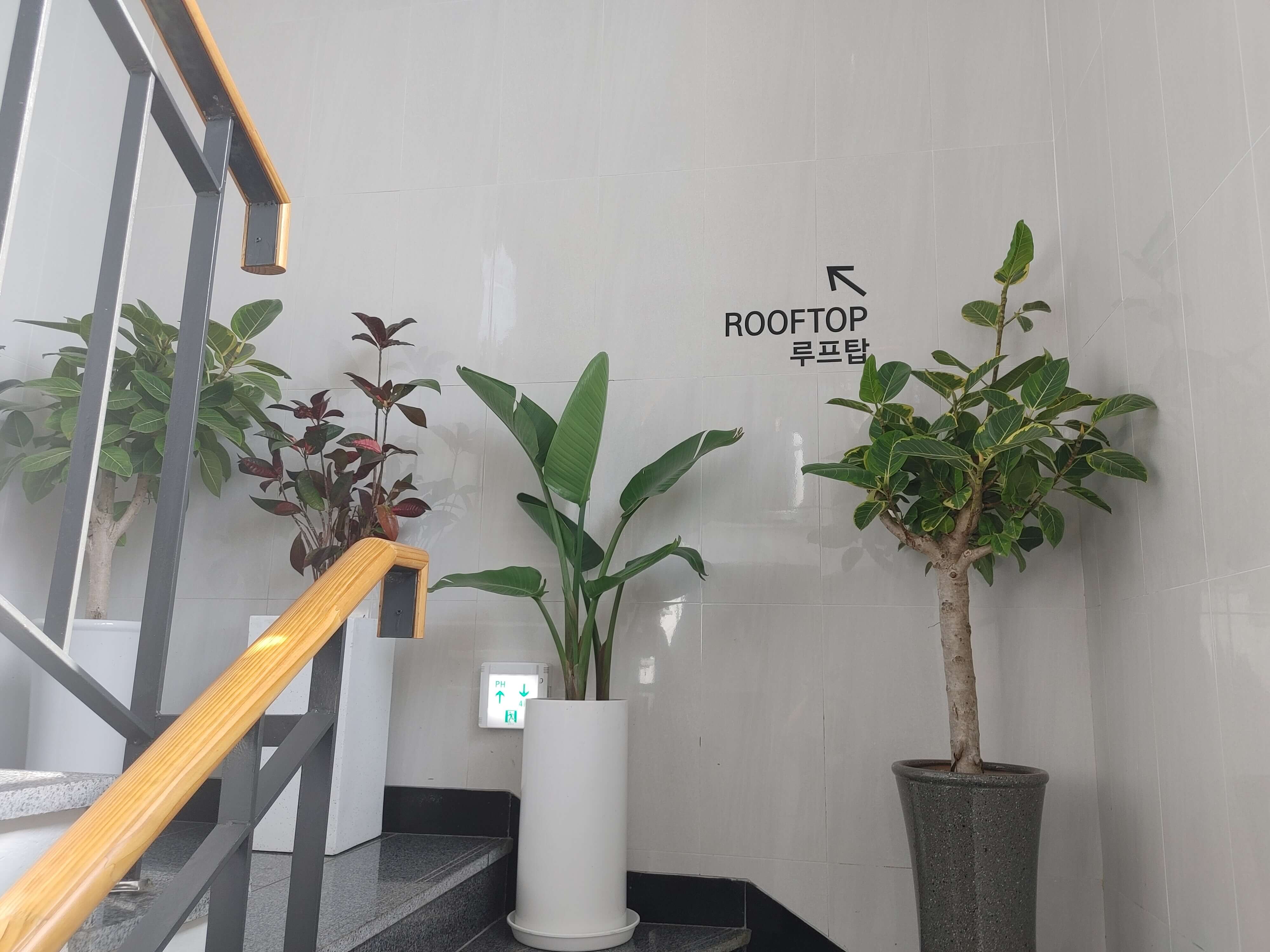 김해_강변뷰카페_라인25_루프탑