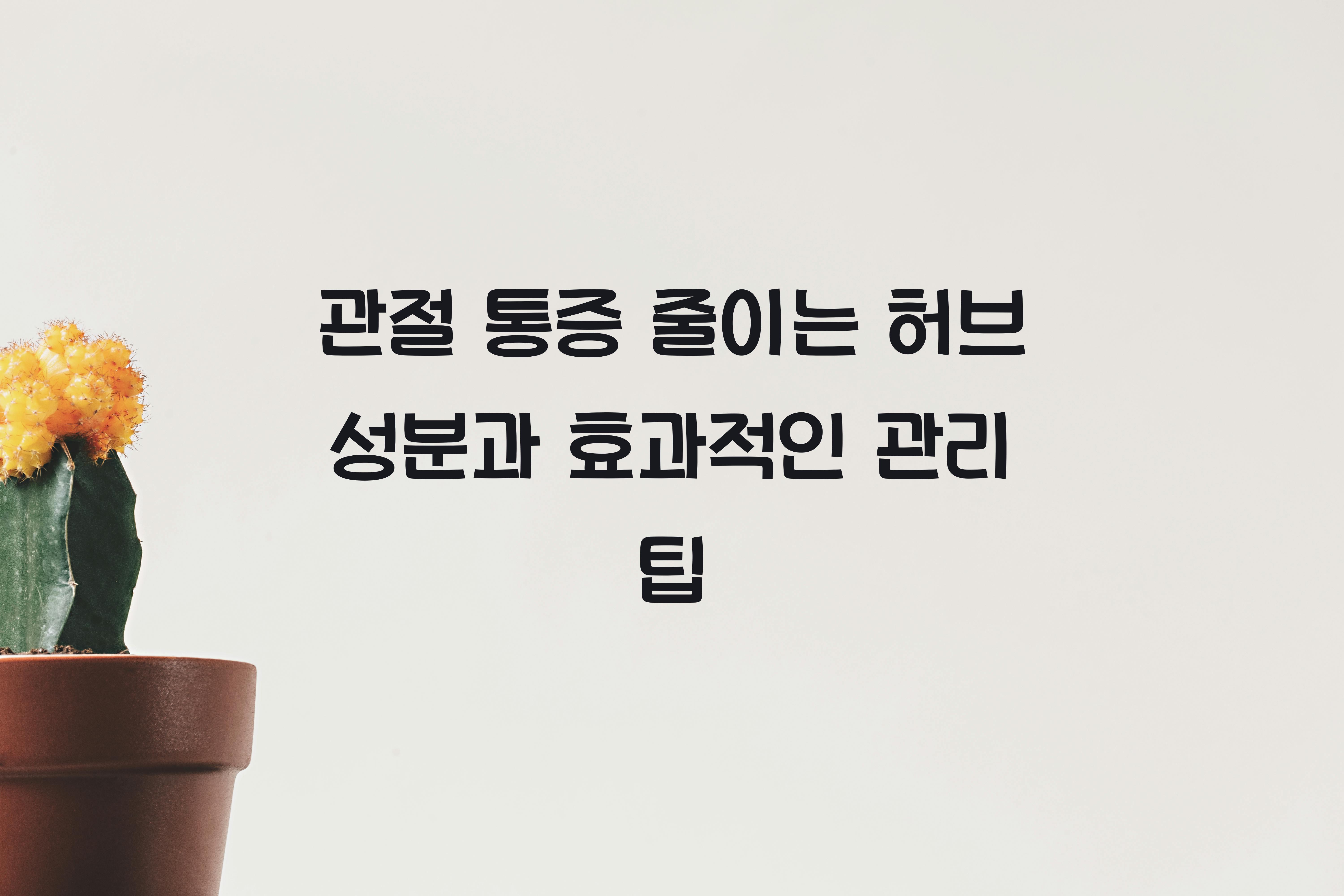 관절 통증 줄이는 허브 성분