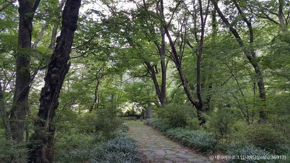 영양 가볼만한곳 베스트10