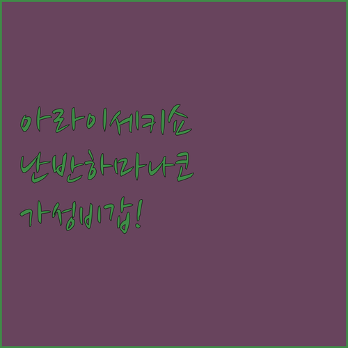 아라이 세키쇼 빗소리 여행 가이드와 ..