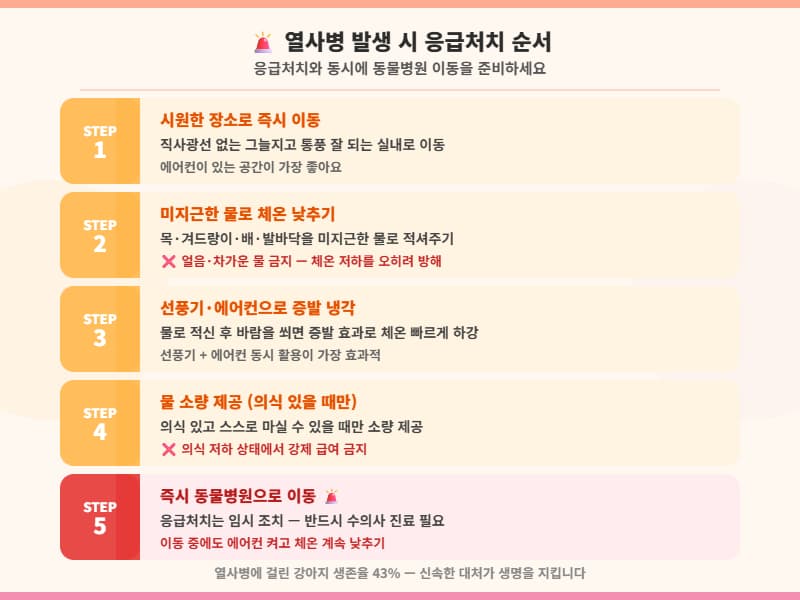 열사병 발생 시 시원한 장소 이동 후 미지근한 물로 체온을 낮추고 즉시 동물병원으로 이동해야 합니다. (펫플릭스 Petflix)