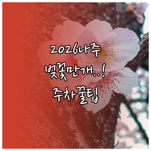 2026 나주 벚꽃 만개 시기 및 주..