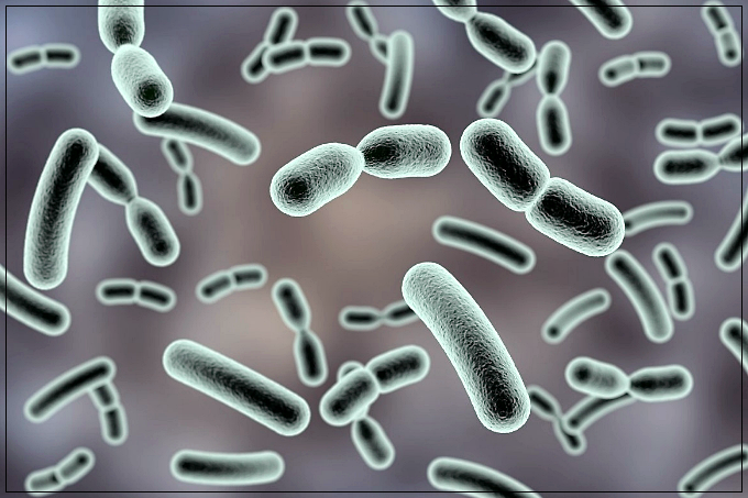 간암 초기 증상