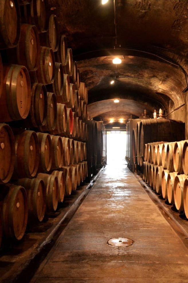 네비올로(Nebbiolo)