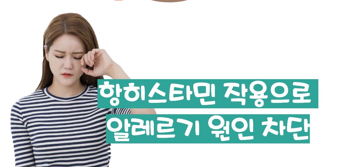 지르텍 효능