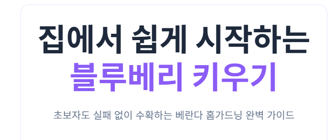 블루베리 키우기