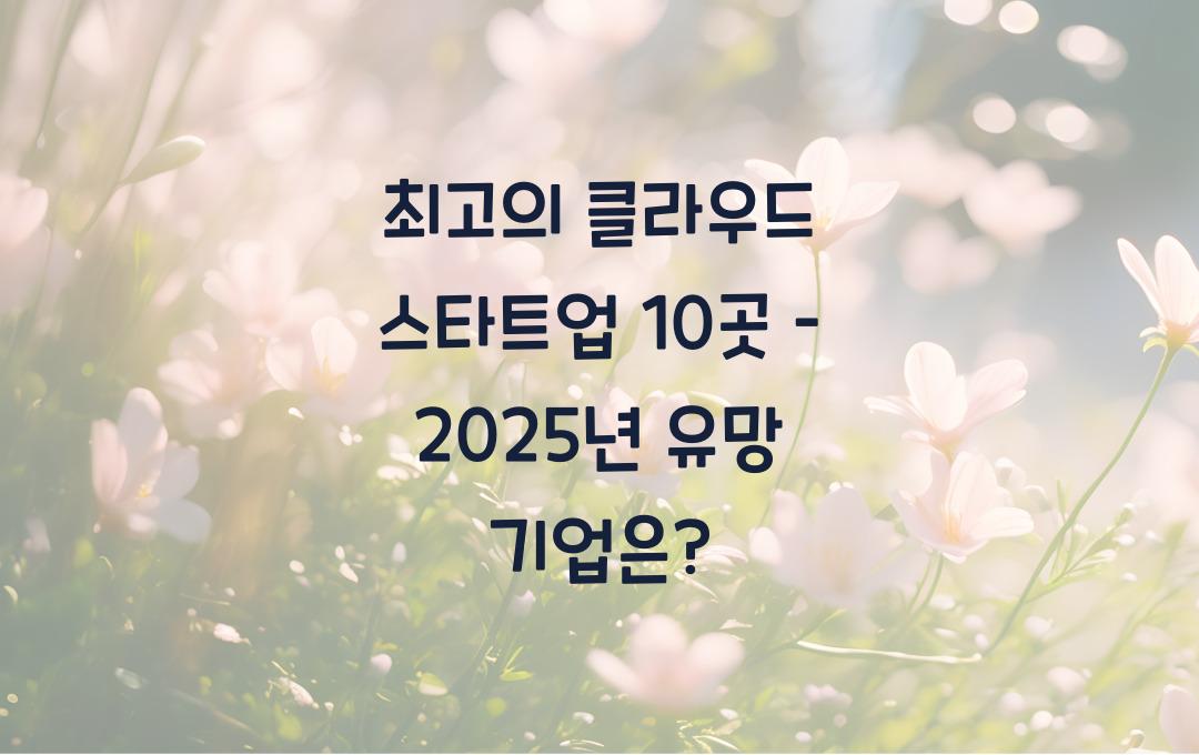 최고의 클라우드 스타트업 10곳 – 성장 가능성이 높은 기업은?